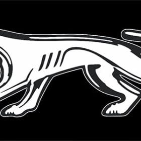 License Plate (Cougar Cat)